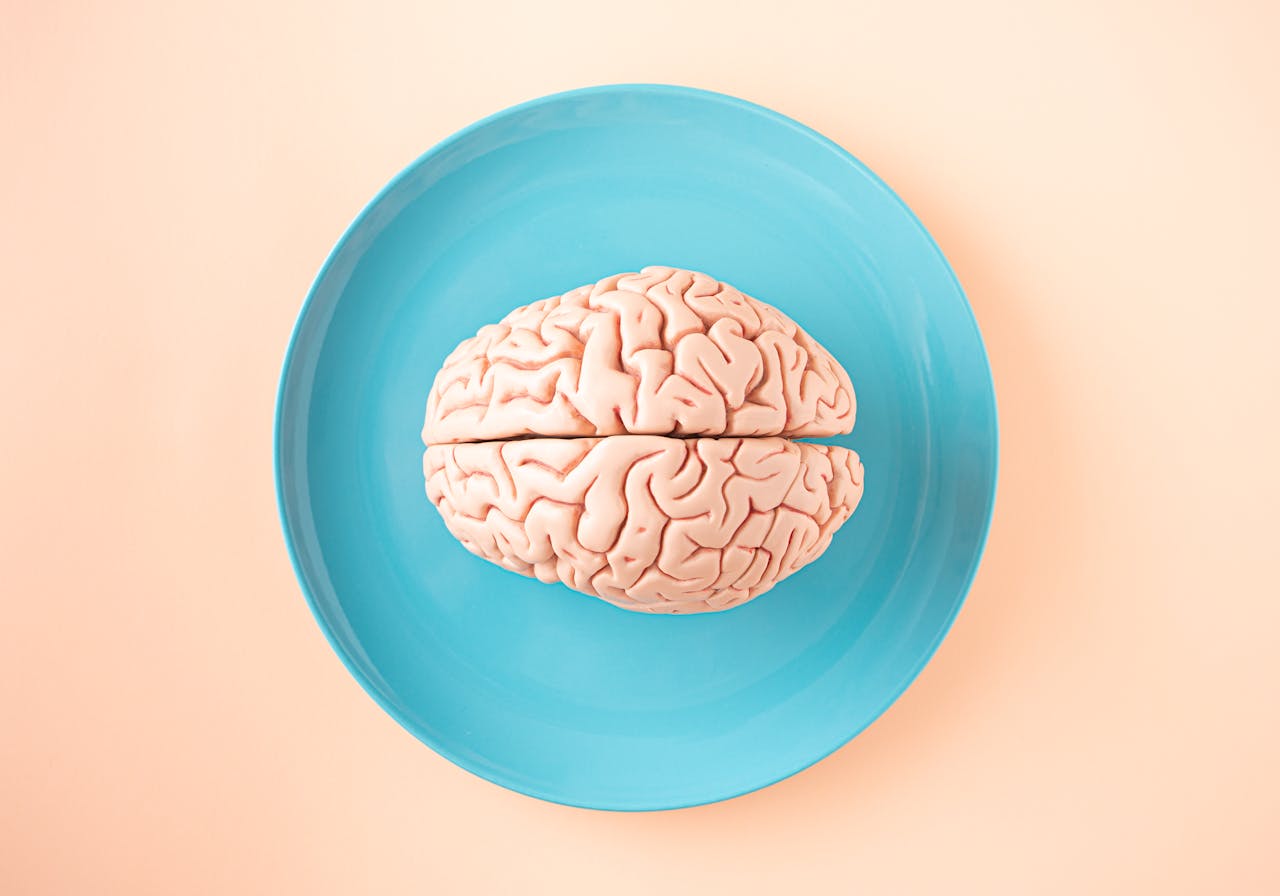 Mental Health Brain Food Connection